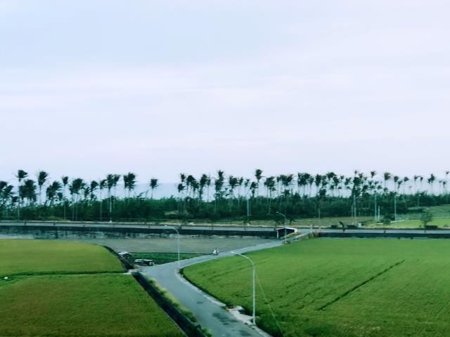 台東市透天-0