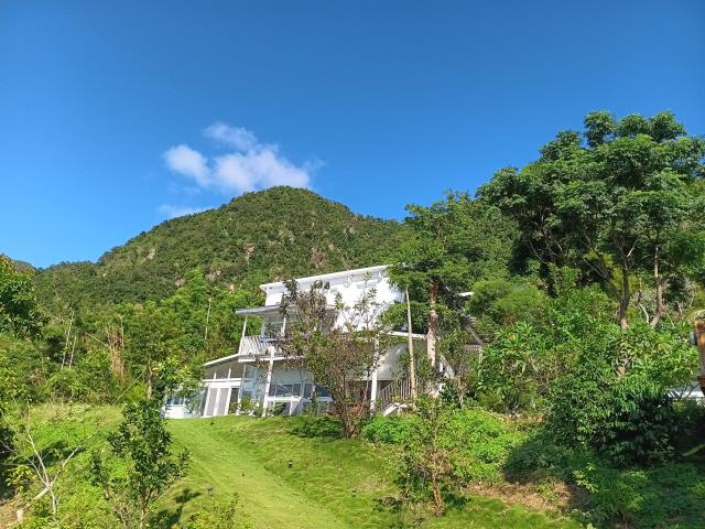 成功透天-10