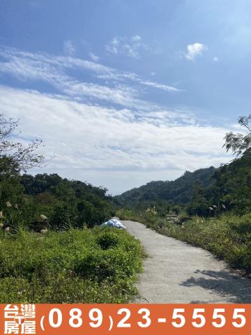 長濱農地-1