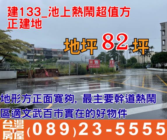 台東建地-0