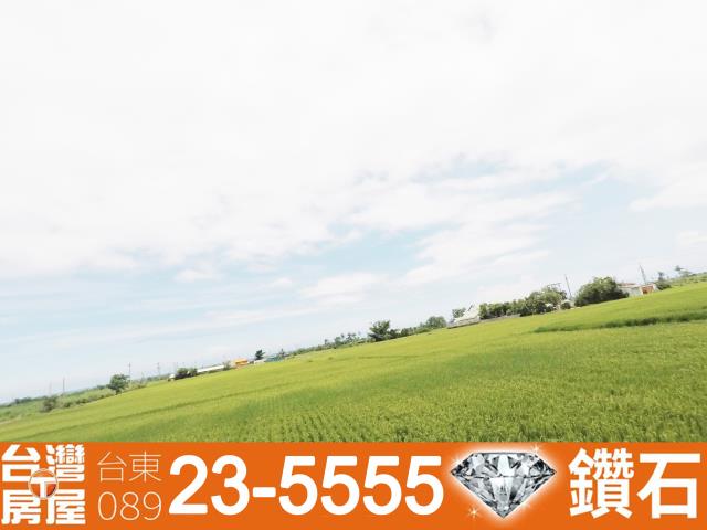 台東市農地-10