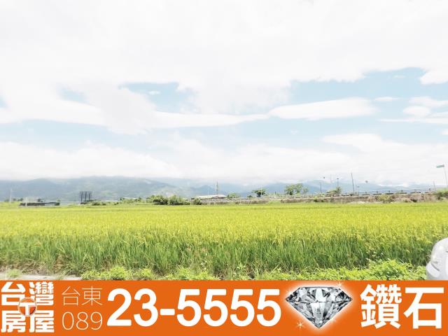 台東市農地-7