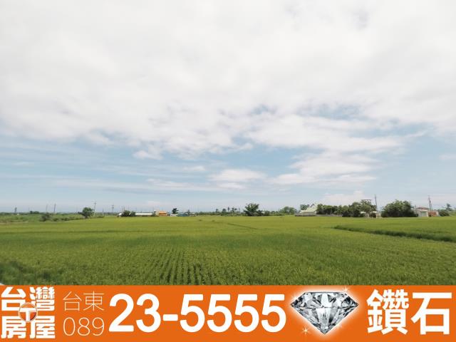 台東市農地-8