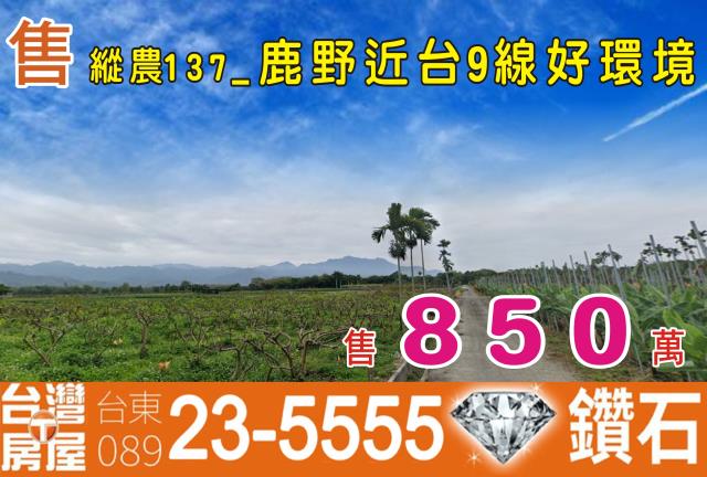 台東農地-0