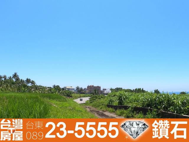 長濱農地-11