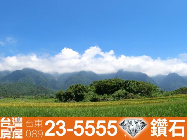 台東農地