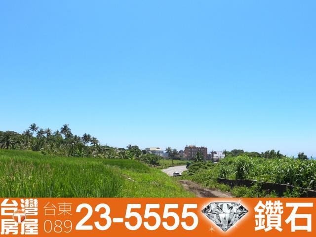 長濱農地-10