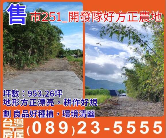 台東市農地-1
