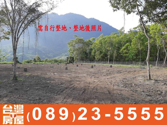 東河農地-12