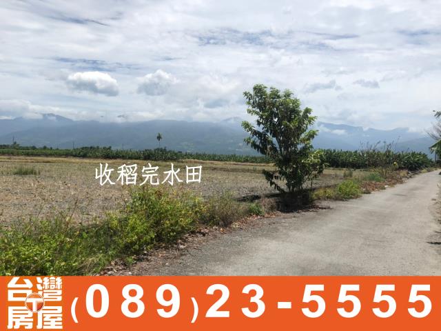 台東房地產