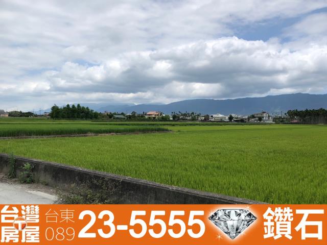 台東仲介公司