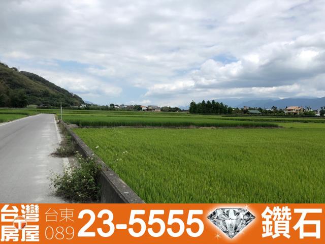 台東台灣房屋