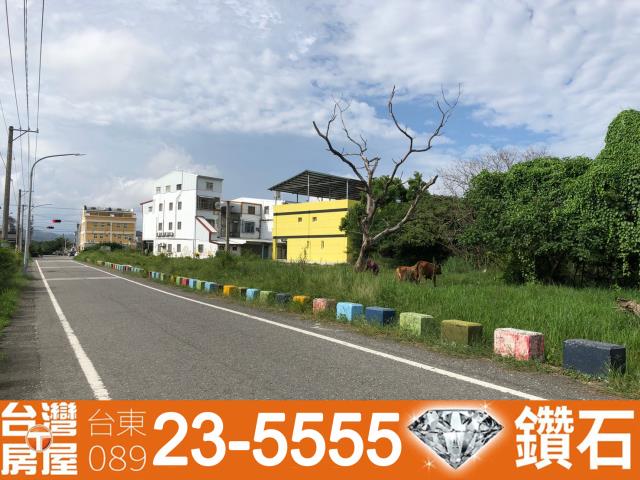 台東市建地-1