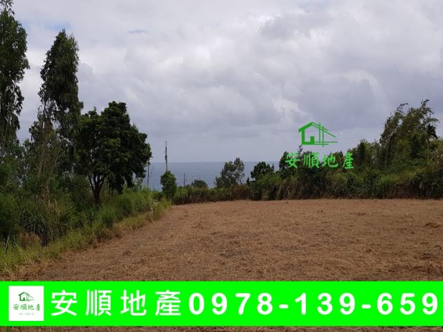 長濱農地-3