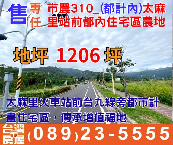 太麻里農地-0