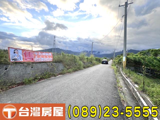 卑南農地-9