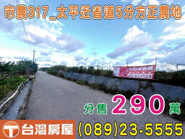 卑南農地-0