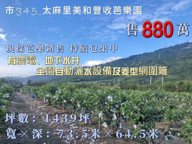 台東農地-1