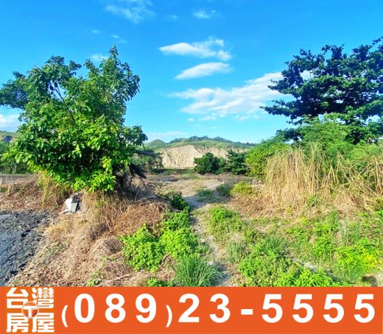 鑽石台東農地