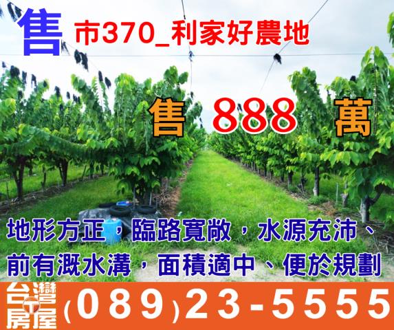台東農地-0