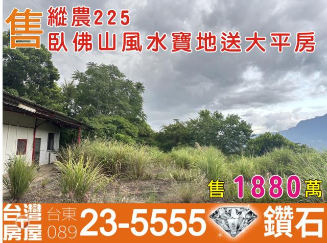 台東農地-0