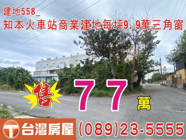台東市建地-0