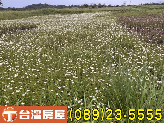 台東農地-2