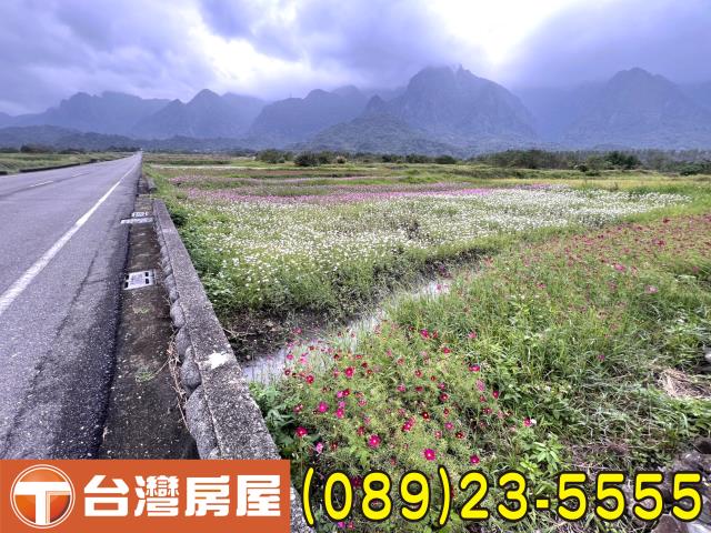 台東農地-3