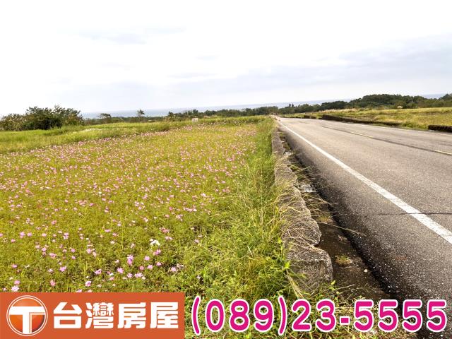 台東農地-4