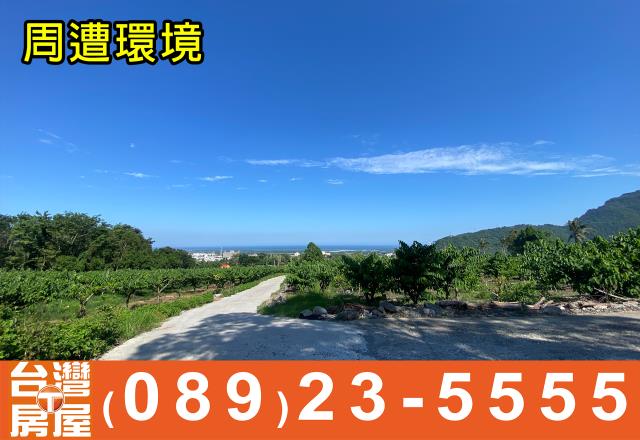 台東農地-7