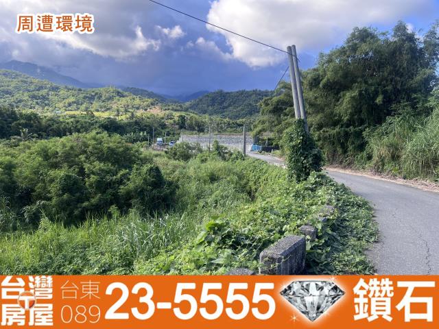 台東農地-12
