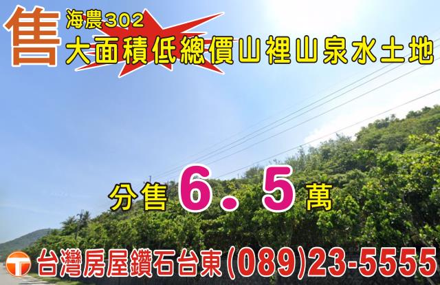 台東成功農地-3