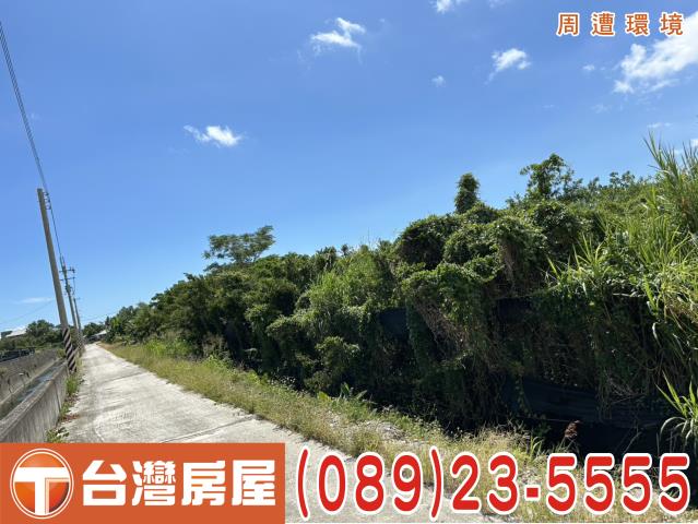 卑南農地-1