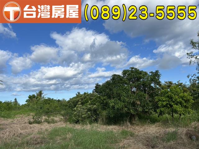 台東市農地-5