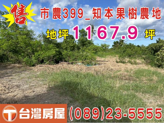 台東市農地-3