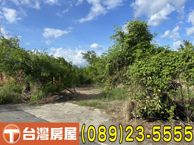 台東市農地-2