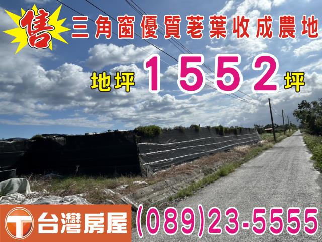 台東市農地-0