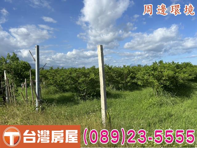 台東市農地-4