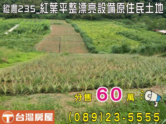 延平農地-0