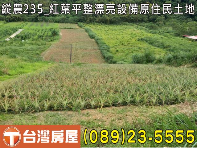延平農地-2