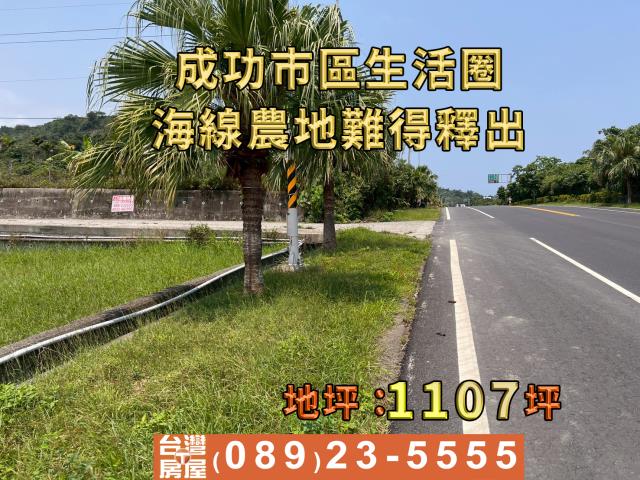 成功農地-3