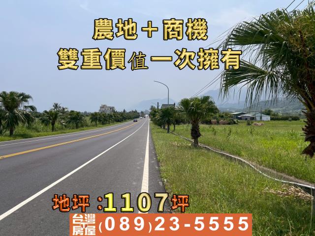 成功農地-4