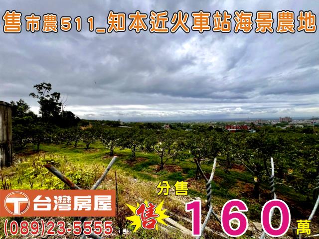 台東市農地-0