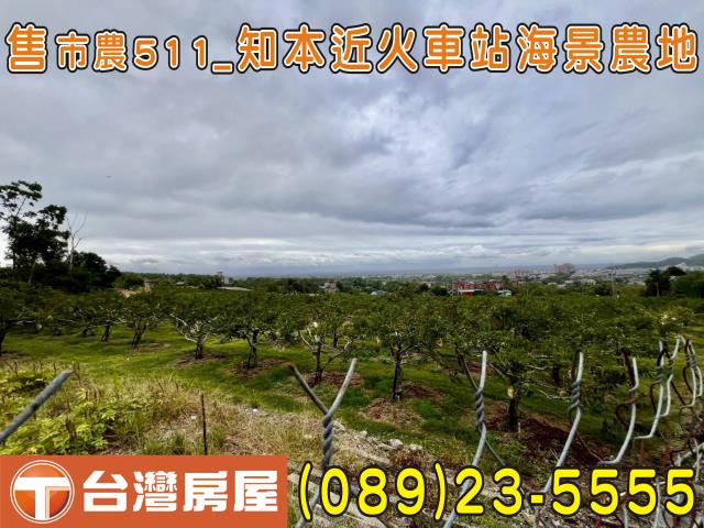 台東市農地-1