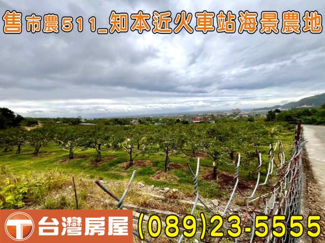 台東市農地-2