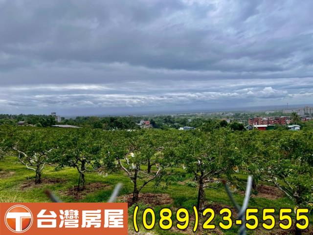 台東市農地-3