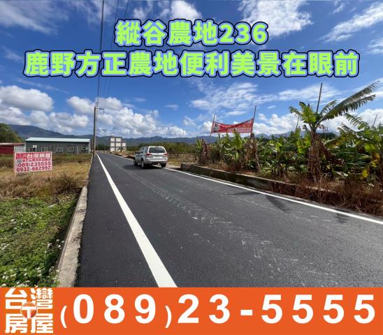 台東鹿野農地-1