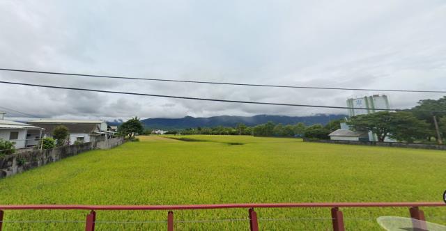 池上農地-3