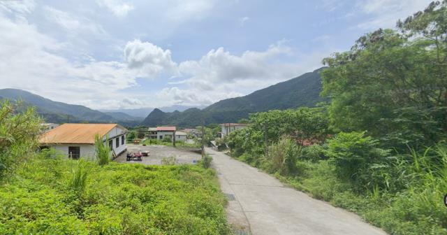 延平農地-2