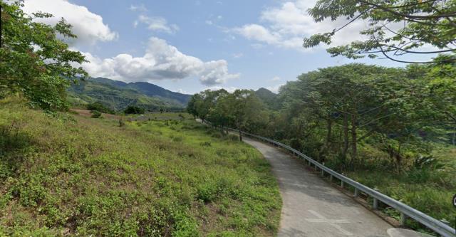 延平農地-3